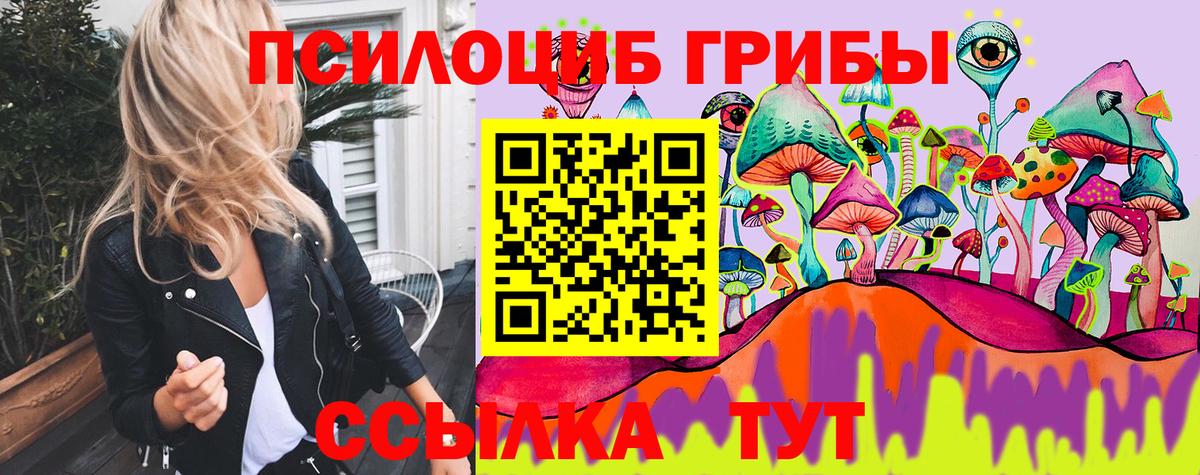 Нововоронеж  Псилоцибиновые грибы Magic Shrooms  Вход с VPN 