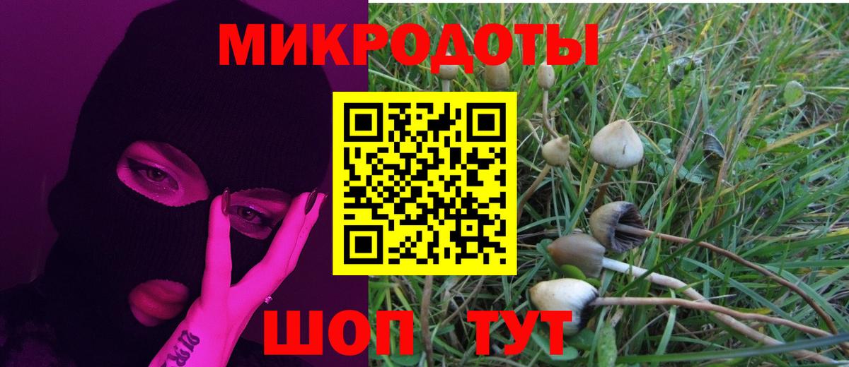 Псилоцибиновые грибы Cubensis Нововоронеж