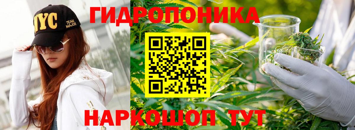Конопля ГИДРОПОН  Канабис ГИДРОПОН  Вход с VPN  Нововоронеж  Конопля конопля 